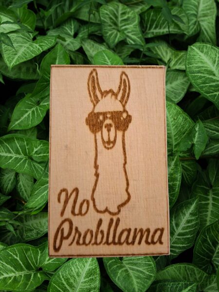 No Probllama