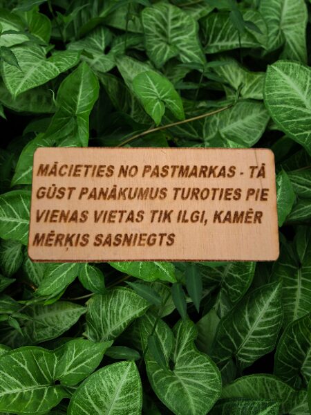 Mācieties no pastmarkas